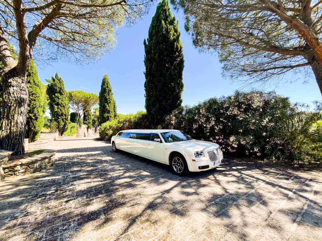 Servizio di Limousine